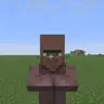 No Villager Nameplate