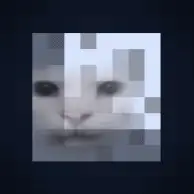 Canny Cat Moon