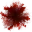 Blood and Bleeding