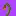 Dead ahh flower ( orange tulip )