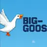 BIG-GOOSE server