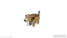 Ai Buddy