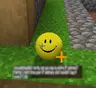 Verity + Optimized