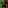 Biome Mobs