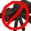 No Spiders