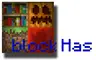 BlockHideAndSeek