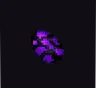 Improved Dragon Egg
