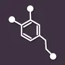 Hybrid API