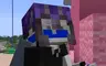 NZM853 PVP TEXURE PACK