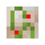 VTxFA - Red Iron Golem Flowers