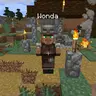 Villager Names