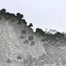 NoisiumForked