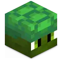 BactroMod
