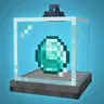 Display Case