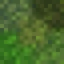Biome Moss