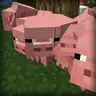 Mob Collision Off