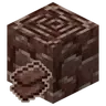 Fortunate Ancient Debris
