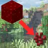 Nether Wart Blocks to Nether Warts