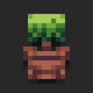 Botanical Pots