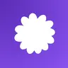 Faster Iris Shadow Mapper
