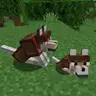 Pet Armor