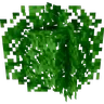 Motschen's Better Leaves