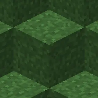 Fast Better Grass
