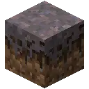 Mycelium