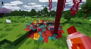 Biome Potion
