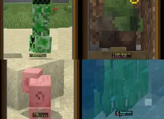 Mob Information