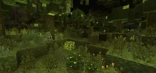 New Cave Biomes