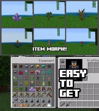 Transform into Items 26+