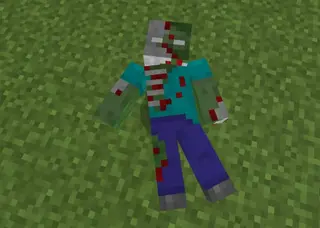 Zombie Apocalypse 26+