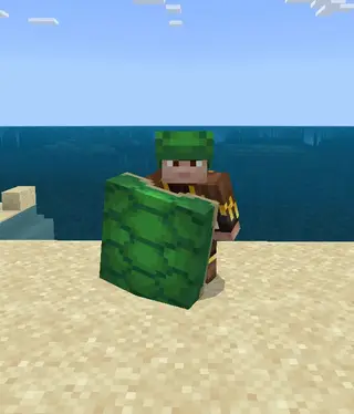Cool Shields 26+
