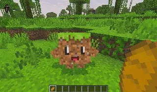 Living Blocks