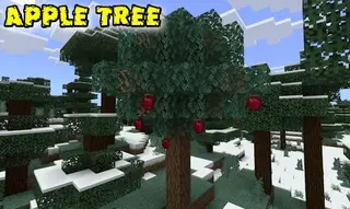 Fruits on Trees