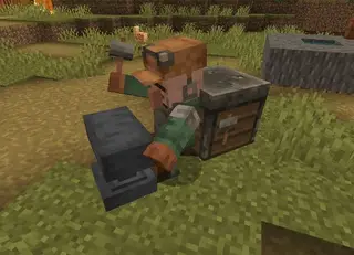 New Healer Villager 1.21+