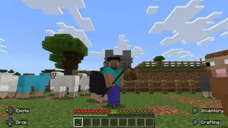 Shepherd's Staff 1.21+