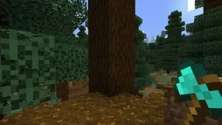 Survival Improvements