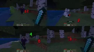 Visual Damage 1.21+