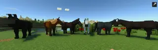 Horse Enhancement 1.21+