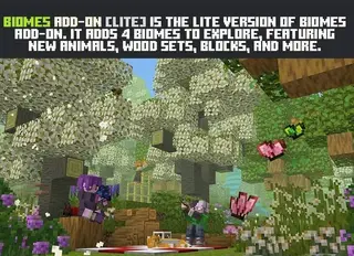 Biome Improvements 1.21+