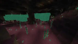 New Dungeons