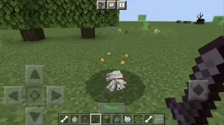 Wolf Kennel