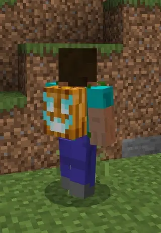 Multi Backpacks