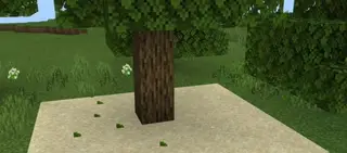 Falling Leaves