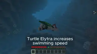 Elytra Abilities