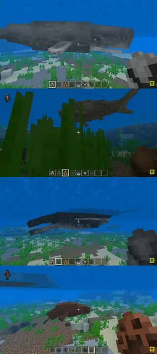 50+ Animals