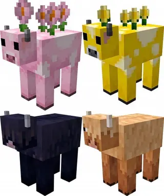 Farm Animals