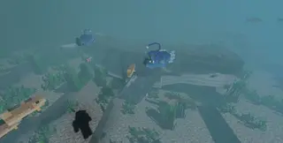 Fish